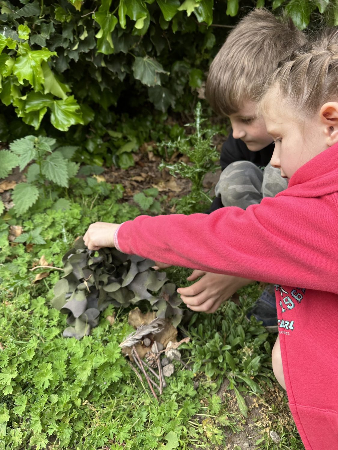 children exploring different leaves