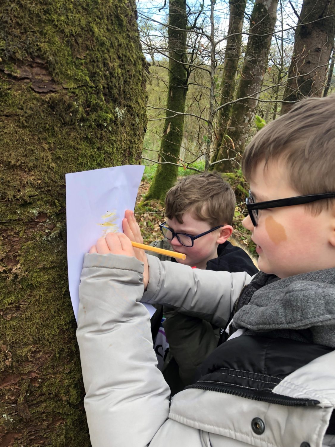 Two children doing a bark rubbing