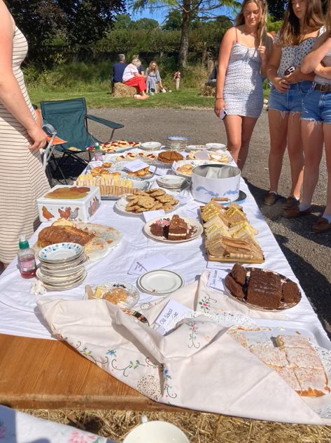 A table outdoors with a table cloth on covered in plates of cakes and biscuits