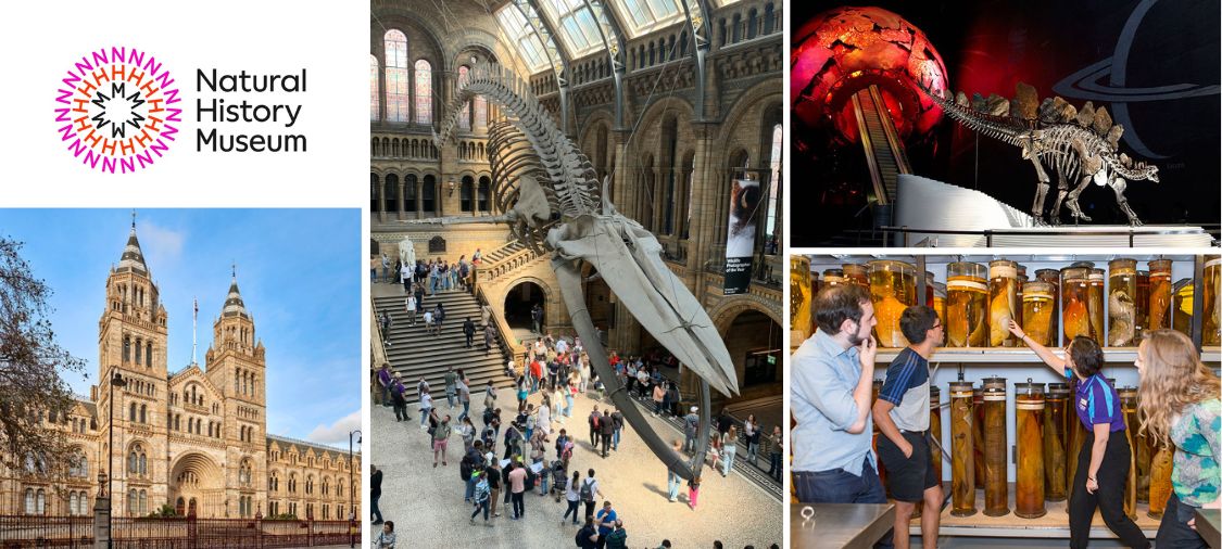 Natural history museum